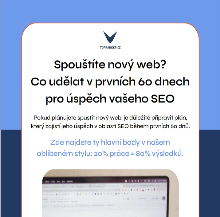 SEO analýza obrázek 118 SEO analýza obrázek 117